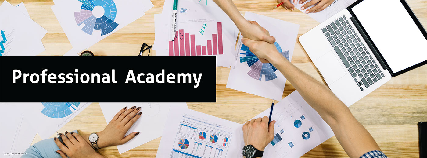 Professional Academy